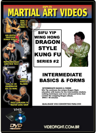 MASTER YIP WING HONG - DRAGON STYLE KUNG FU SERIES #2