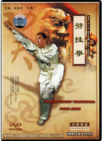 WANG HUAFENG - KUNG FU PI GUA QUAN FIST