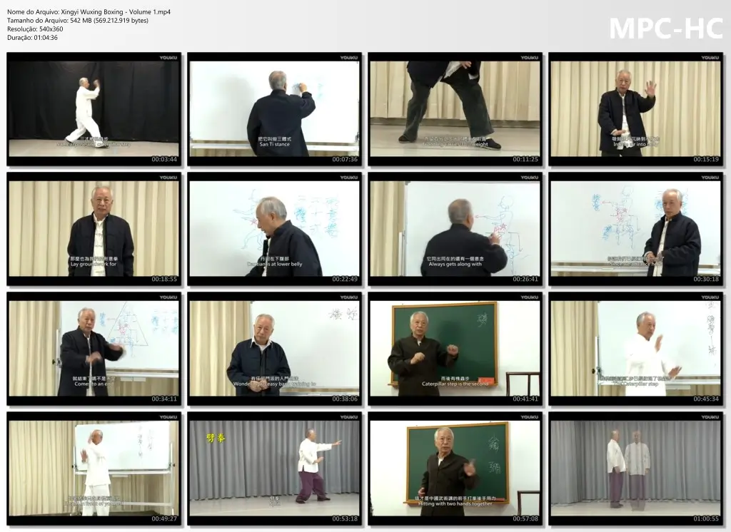 Xingyi Wuxing Boxing Volume 1.mp4 thumbs