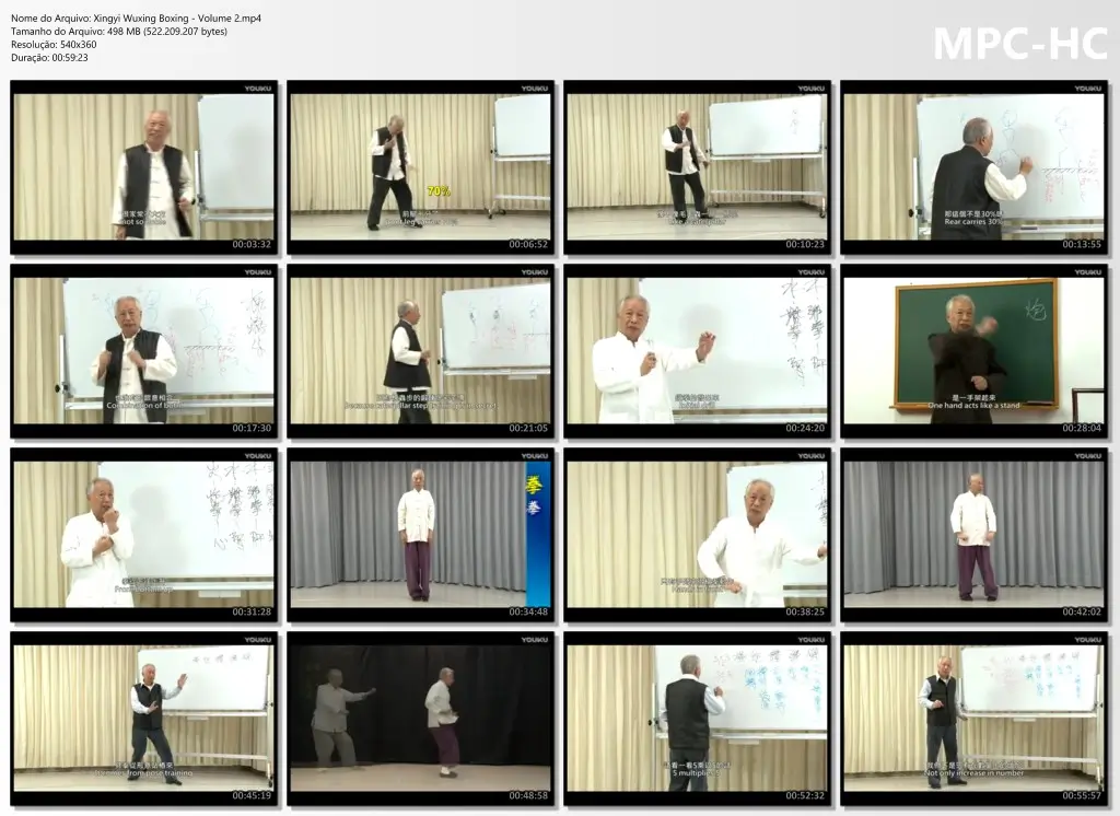 Xingyi Wuxing Boxing Volume 2.mp4 thumbs