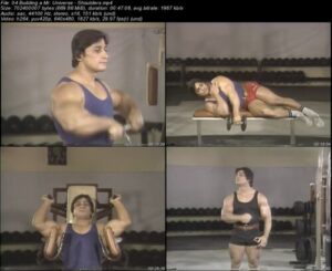 The Giant Killer Danny Padilla's Secrets of Successful Bodybuilding (13 DVD Set) (7)