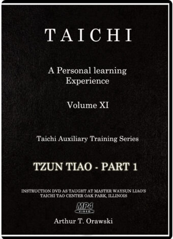 ARTHUR T. ORAWSKI - TAICHI AUXILIARY TRAINING SERIES #11