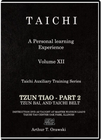 ARTHUR T. ORAWSKI - TAICHI AUXILIARY TRAINING SERIES #12