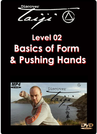 ADAM MIZNER - DISCOVER TAIJI - LEVEL 02