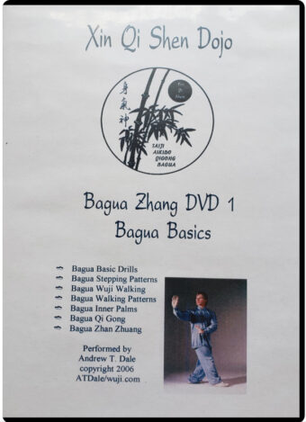 ANDREW T. DALE - XIN QI SHEN DOJO - BAGUA ZHANG #01