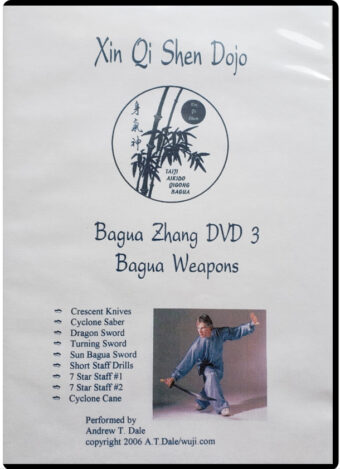 ANDREW T. DALE - XIN QI SHEN DOJO - BAGUA ZHANG #03