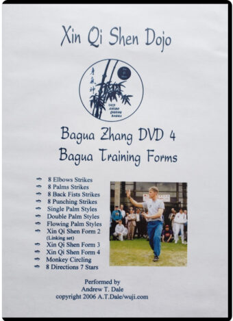 ANDREW T. DALE - XIN QI SHEN DOJO - BAGUA ZHANG #04