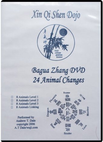 ANDREW T. DALE - XIN QI SHEN DOJO - BAGUA ZHANG #05
