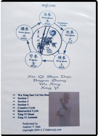 ANDREW T. DALE - XIN QI SHEN DOJO - BAGUA ZHANG #06
