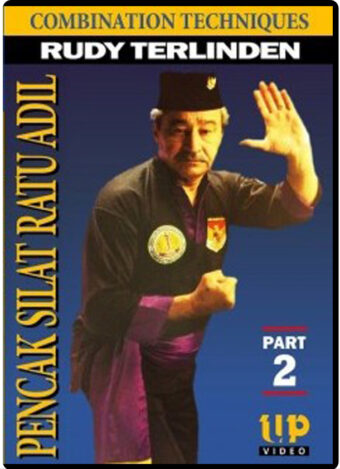 RUDY TERLINDEN - PENCAK SILAT RATU ADIL - COMBINATION TECHNIQUES #02
