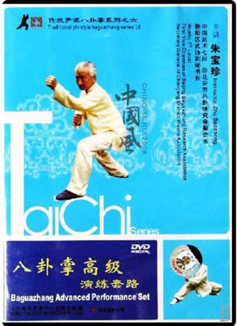 ZHU BAO ZHEN - TRADITIONAL YIN STYLE BAGUAZHANG #06