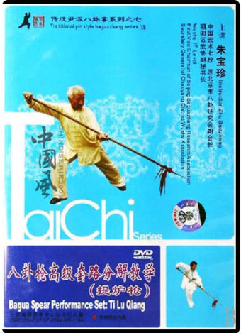 ZHU BAO ZHEN - TRADITIONAL YIN STYLE BAGUAZHANG #07