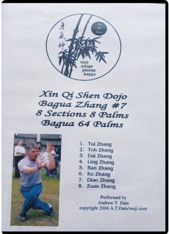 ANDREW T. DALE - XIN QI SHEN DOJO - BAGUA ZHANG #07