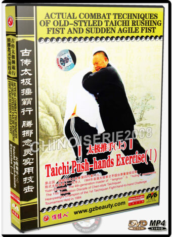 YUAN ZHANGUO - ACTUAL COMBAT TECHNIQUES OF OLD-STYLE TAICHI 09