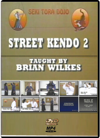 BRIAN WILKES - STREET KENDO #02