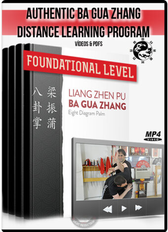 TOM BISIO - AUTHENTIC BA GUA ZHANG DISTANCE LEARNING PROGRAM FUNDAMENTAL