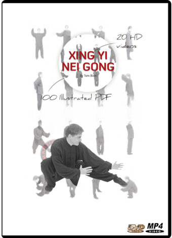 TOM BISIO - XING YI NEI GONG PROGRAM