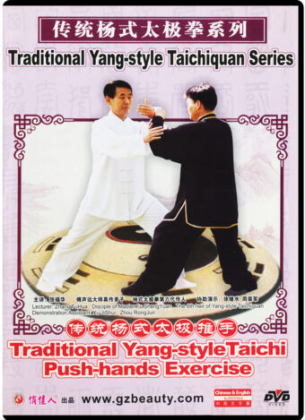 ZHANG FUHUA - TRADITIONAL YANG-STYLE TAICHIQUAN SERIES #03