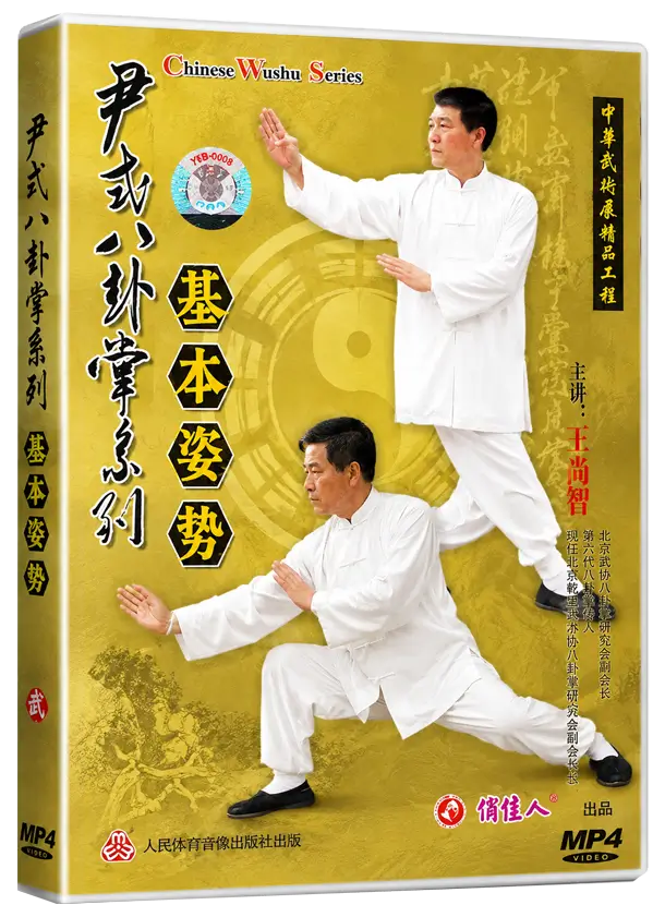 WANG SHANG ZHI - BA GUA ZHANG YIN FU BRANCH COMPLETE SERIES - Imagem 2