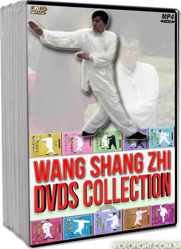 WANG SHANG ZHI - BA GUA ZHANG YIN FU BRANCH COMPLETE SERIES - Imagem 3