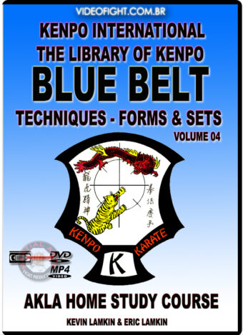 KEVIN LAMKIN - AKLA KENPO KARATE #04 - BLUE BELT