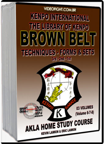 KEVIN LAMKIN - AKLA KENPO KARATE #06 - BROWN BELT