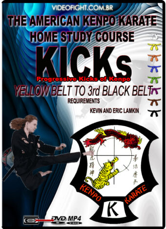 KEVIN LAMKIN - AKLA KENPO KARATE - KICKS