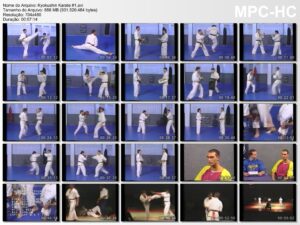 Kyokushin Karate #1.avi thumbs [2022.12.04 10.01.05]