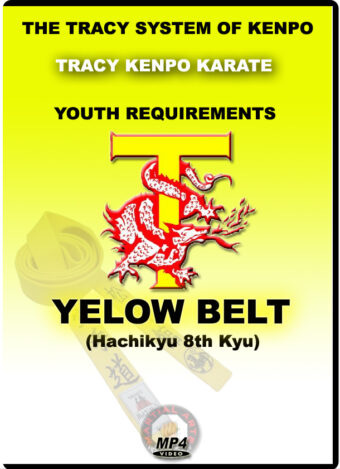 TRANCY'S KENPO KARATE - YELOW BELT REQUEREMENTS