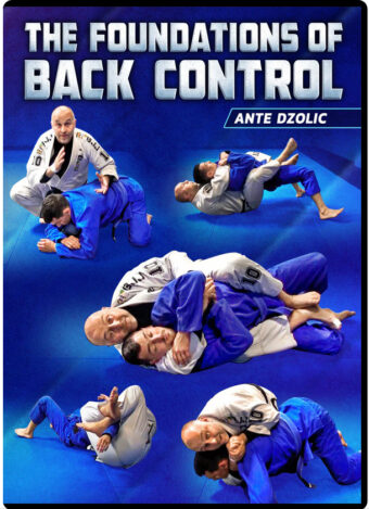 Ante dzolic the fundations of back control (1)