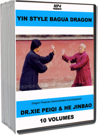 XIE PEIQI - HE JINBAO - YIN STYLE BAGUA DRAGON