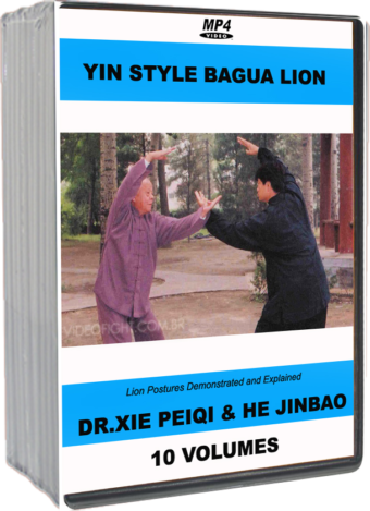 XIE PEIQI - HE JINBAO - YIN STYLE BAGUA LION