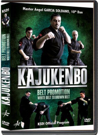 ANGEL GARCIA - KAJUKENBO BELT PROMOTION - WHITE BELT TO BROWN BELT