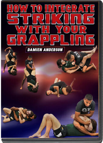 How to integrate striking with your grappling by damien anderson