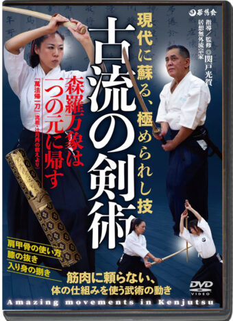 KOUGA SEKIDO - AMAZING MOVEMENTS IN KENJUTSU