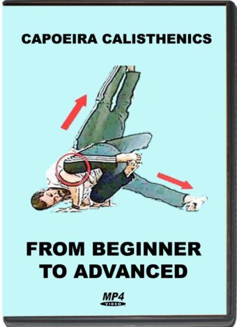 ALON YUDELEVICH - CAPOEIRA CALISTHENICS