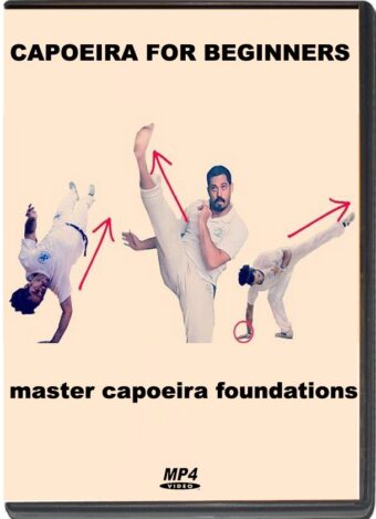 ALON YUDELEVICH - CAPOEIRA FOR BEGINNERS