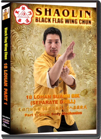 BENNY MENG & KENNETH XIANG FUK LIN- SHAOLIN BLACK FLAG WING CHUN - 18 LOHAN SUANN SIK PART 01