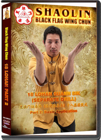 BENNY MENG & KENNETH XIANG FUK LIN- SHAOLIN BLACK FLAG WING CHUN - 18 LOHAN SUANN SIK PART 02