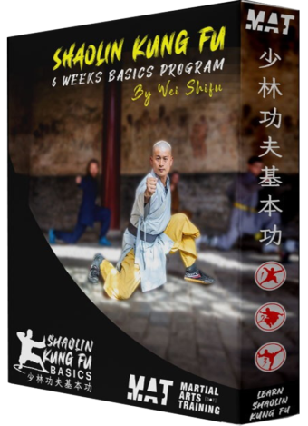SHIFU WEI (SHI YAN JIA) - SHAOLIN KUNG FU BASIC PROGRAM