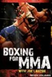 Joe Lauzon Boxing For MMA (1)