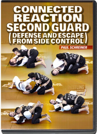 PAUL SCHREINER – CONNECTED REACTION - SECOND GUARD