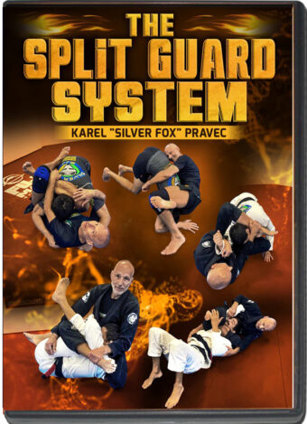 Karel the “silver fox” pravec – the split guard system