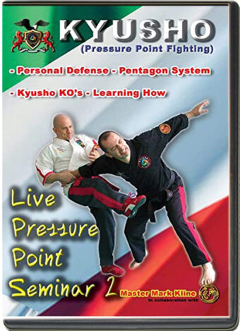 MARK KLINE - KYUSHO JITSU - LIVE SEMINAR 2 - PENTAGON SYSTEM & KYUSHO KO'S