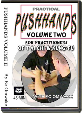 EO OMWAKE - PRATICAL PUSH HANDS VOL.02