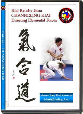 SONG PARK - KIAI JITSU - CHANNELING KIAI (MARTIAL ARTS)