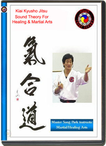SONG PARK - KIAI JITSU - SOUND THEORY HEALING & MARTIAL ARTS