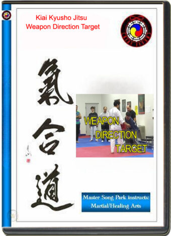SONG PARK - KIAI JITSU - WEAPON DIRECTION TARGET