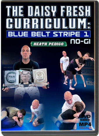 Heath pedigo the daisy fresh curriculum blue belt no gi stripe 1