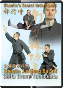 Shaolin Jin Gang Ba Shi